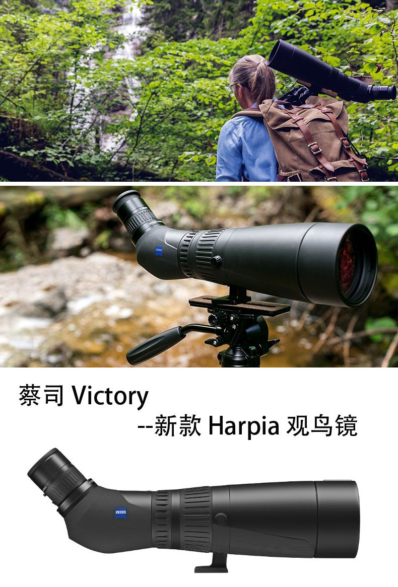 harpia1.jpg harpia1.jpg